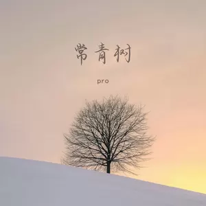 常青树