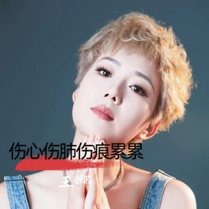 王娜 - 伤心伤肺(DJAs版)