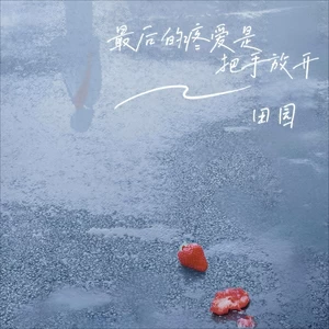 田园 - 最后的疼爱是把手放开(DJ铁柱版)