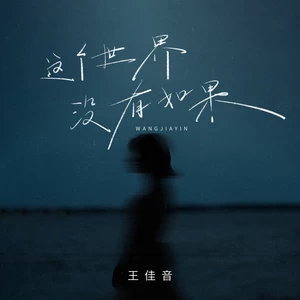 王佳音 - 这个世界并没有如果