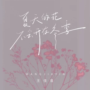 夏天的花不会开在冬季