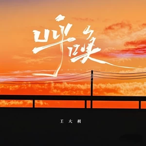 王太利 - 呼唤