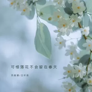 苏星婕/王忻辰 - 可惜落花不会留在春天