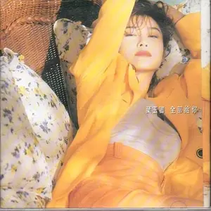 叶玉卿/林帆 - 傻眼泪