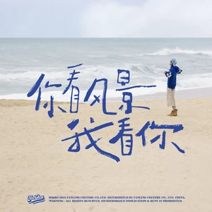 姚琛 - 你看风景我看你