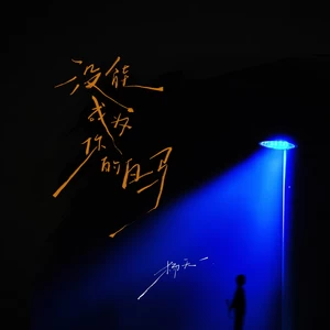 没能成为你的白马（没能看你穿上婚纱）