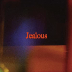 I Don’t Like Mondays. - jealous