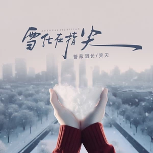 蔷薇团长/笑天 - 雪化在指尖(DJ默涵版)
