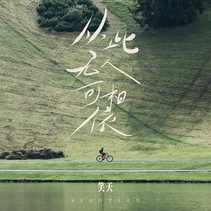 笑天 - 从此无人可相依(DJ默涵版)