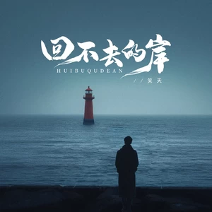 笑天 - 回不去的岸（DJ默涵版）