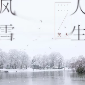 笑天 - 风雪人生(DJ默涵版)