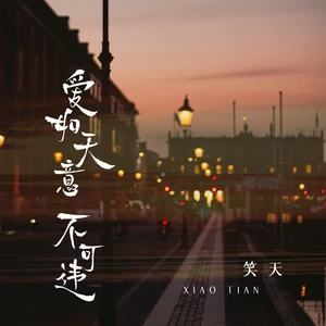 笑天 - 爱如天意不可违(DJ默涵版伴奏)