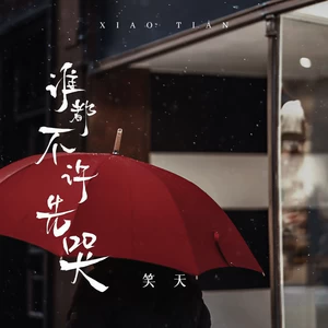 笑天 - 谁都不许先哭(DJ默涵版)