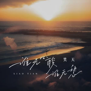 笑天 - 谁无心酸谁无愁(DJ默涵版)