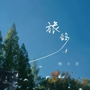 杨小壮 - 旅鸽