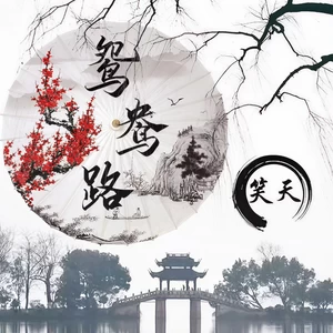 笑天 - 鸳鸯路(伴奏)