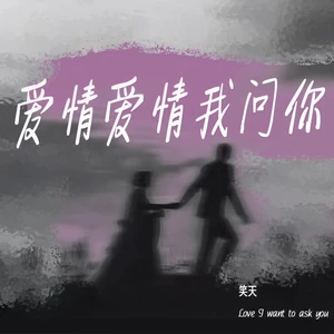 笑天 - 爱情爱情我问你