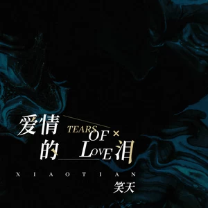 笑天 - 爱情的泪(伴奏)