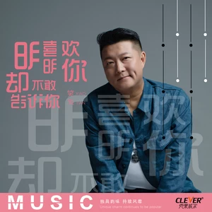 明明喜欢你却不敢告诉你(DJ何鹏版)