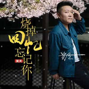 笑天 - 烧掉回忆忘记你