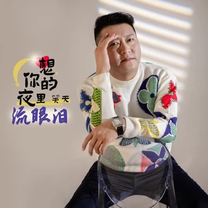 笑天 - 想你的夜里流眼泪(伴奏)