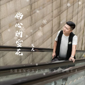 笑天 - 伤心的雪花(DJ何鹏版伴奏)