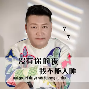 笑天 - 没有你的夜我不能入睡(伴奏)