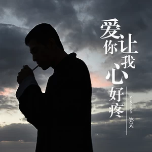 笑天 - 爱你让我心好疼