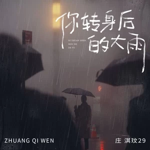 庄淇玟29 - 你转身后的大雨