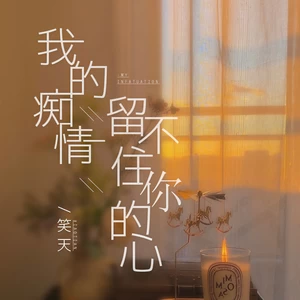 笑天 - 我的痴情留不住你的心(Dj伯格版)