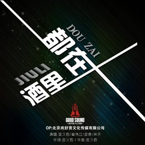 金久哲/崔伟立/玺晨/笑天 - 都在酒里(DJheap九天版)