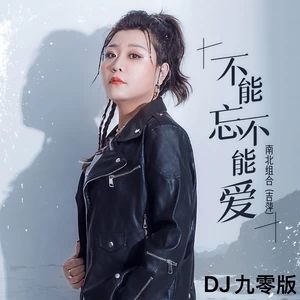 吉萍 - 不能忘不能爱(DJ九零版)