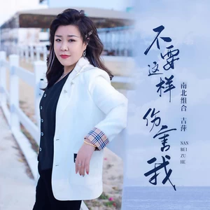 吉萍 - 不要这样伤害我
