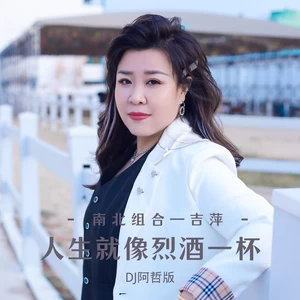 吉萍 - 人生就像烈酒一杯（DJ阿哲版）
