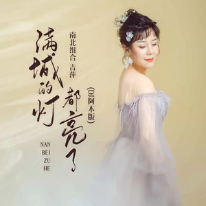 吉萍 - 满城的灯都亮了(DJ阿本版)