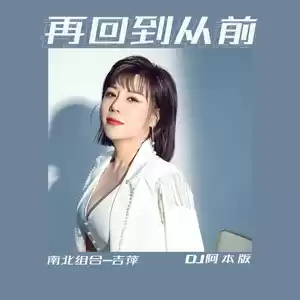 吉萍 - 再回到从前(DJ阿本版伴奏)