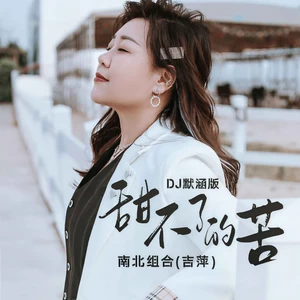吉萍 - 甜不了的苦(DJ默涵版)