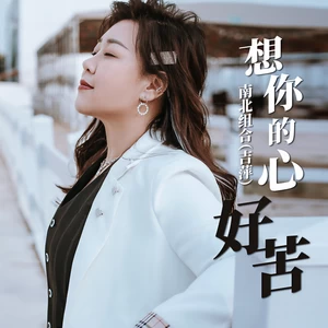 吉萍 - 想你的心好苦(伴奏)