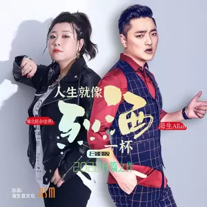 海生/吉萍 - 人生就像烈酒一杯（DJR7版）(伴奏)