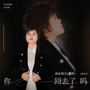 吉萍 - 你回去了吗(伴奏)