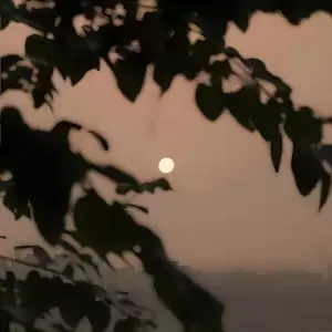 明月夜(3D环绕版|Single Version)