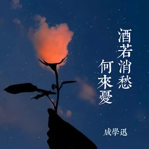 成学迅 - 酒若消愁何来忧