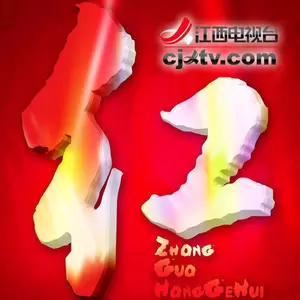 龚爽 - 我像雪花天上来