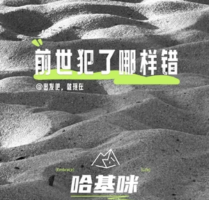 哈基咪 - 前世犯了哪样错