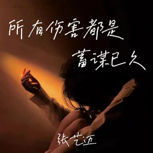 张艺迈 - 所有伤害都是蓄谋已久（DJ默涵版）