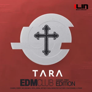 T-ara - Sugar Free(Dion Remix)