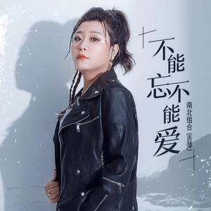吉萍 - 不能忘不能爱