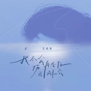 我不会再给你伤我的机会
