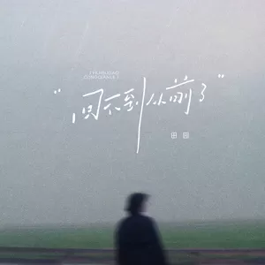田园 - 回不到从前了(伴奏)