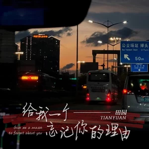 田园 - 给我一个忘记你的理由